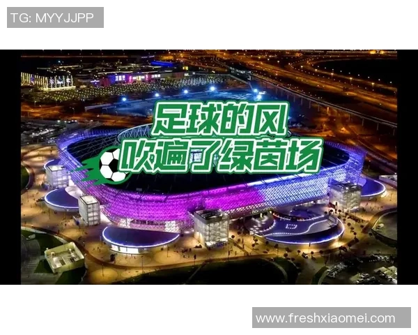 足球明星巅峰时刻精彩回顾让你重温绿茵场上的辉煌瞬间