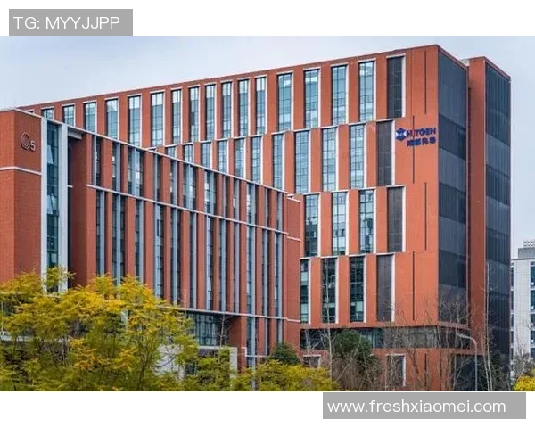 杭州足球队的转型之路：从传统到现代的全新纪实探索