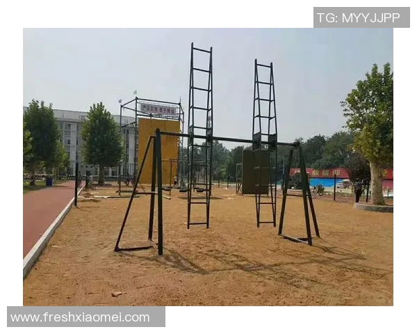 西安篮球队在钻石联赛中的战术分析与表现评估